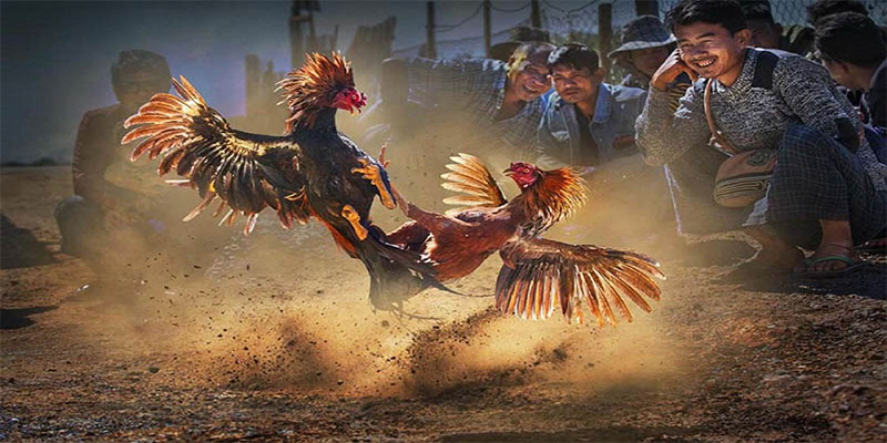 oke365 đăng nhập roulette số 1