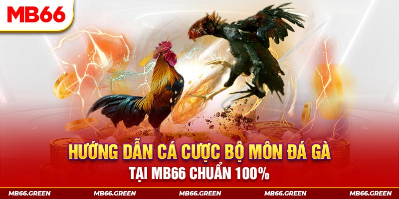 oke365 xổ số bình định