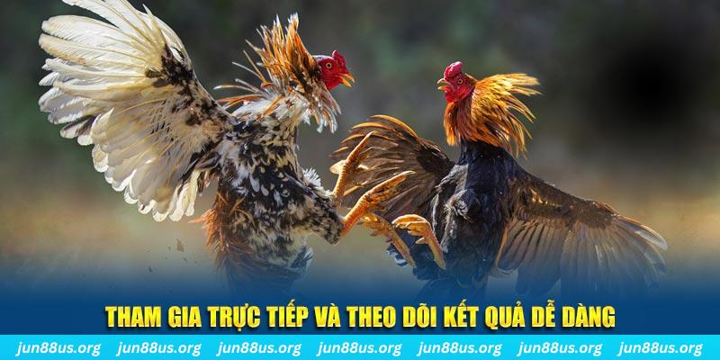 oke365 đá gà trực tiếp bình luận viên