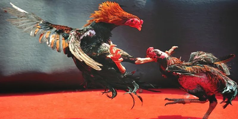oke365 BG Bắn cá