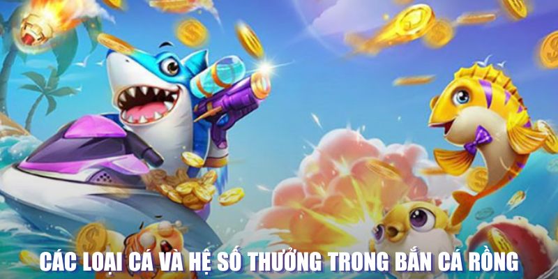 oke365 loi game dot kich ket noi may chu that bai