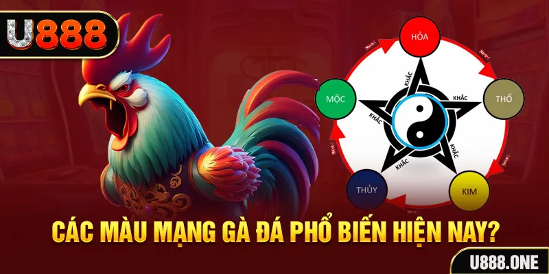 oke365 đăng nhập mậu binh