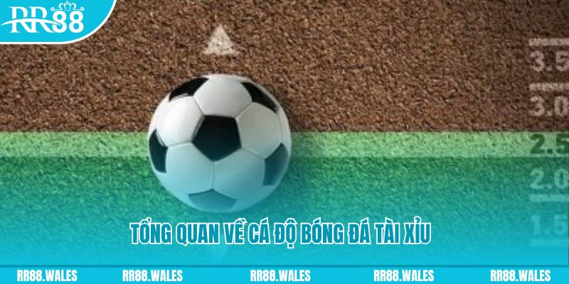 oke365 đăng nhập lô đề online