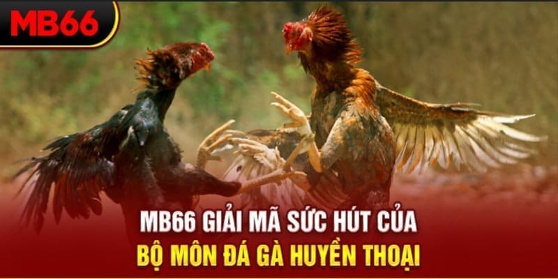oke365 Phi Đội Ưu Tú