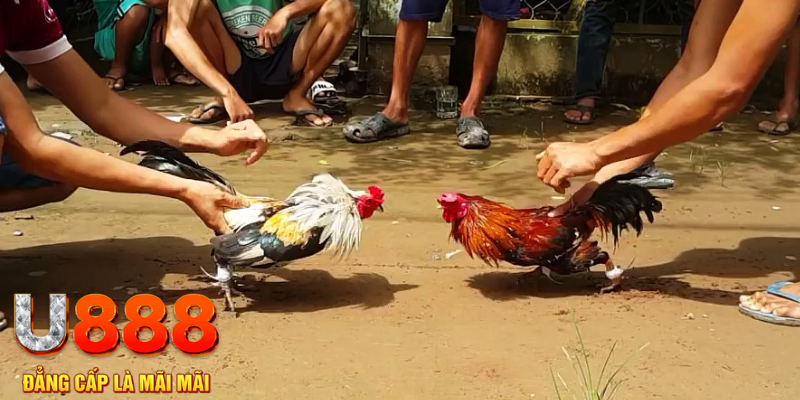 oke365 đăng nhập mậu binh rút tiền nhanh