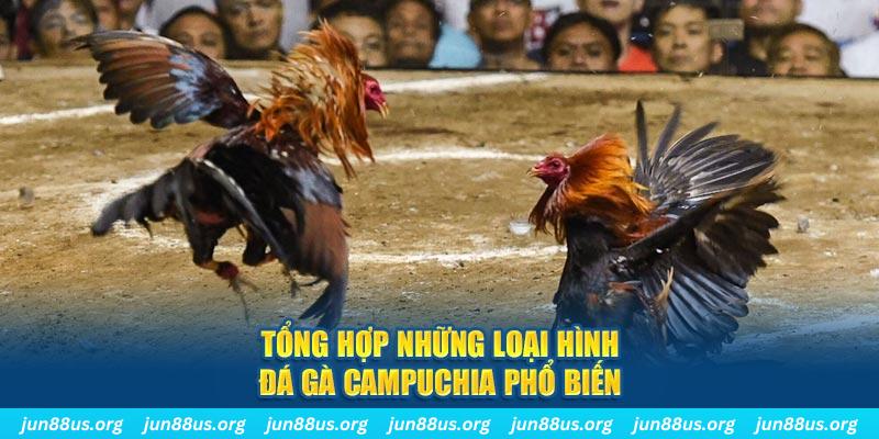 ON Trực Tuyến