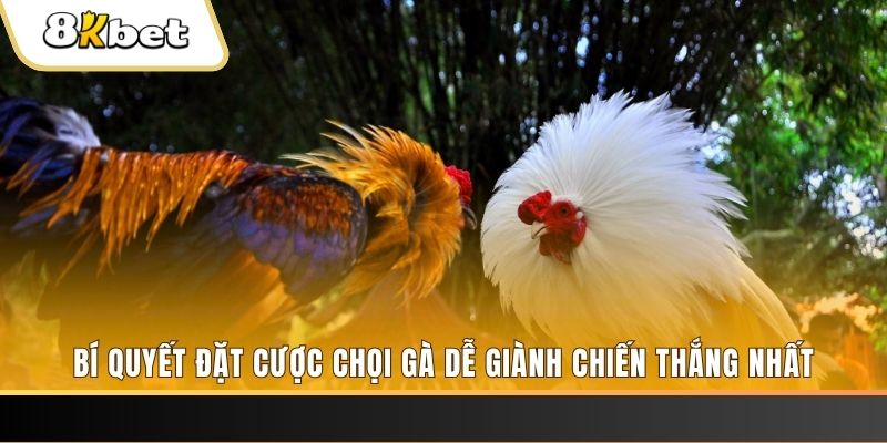 oke365 Tài Xỉu 2