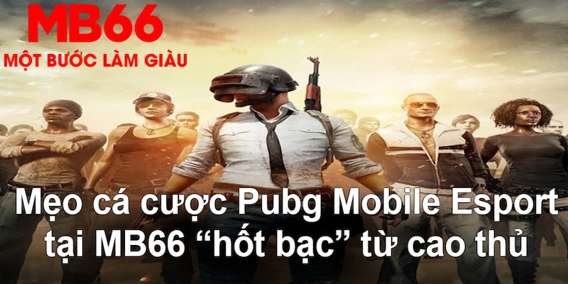 oke365 gà chọi mộc hóa