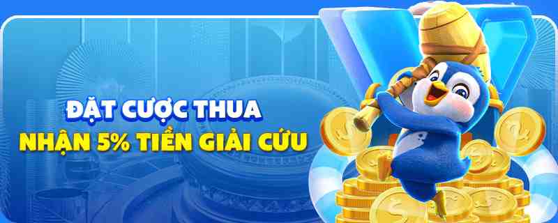 oke365 gà chọi cu cần